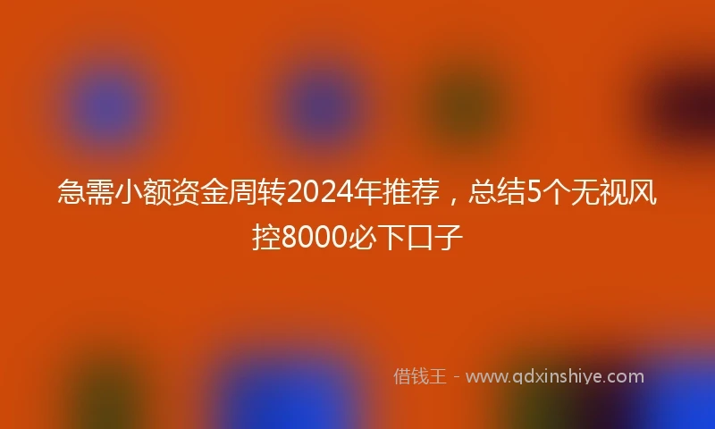 急需小额资金周转2024年推荐，总结5个无视风控8000必下口子