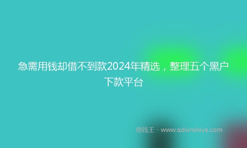 急需用钱却借不到款2024年精选，整理五个黑户下款平台