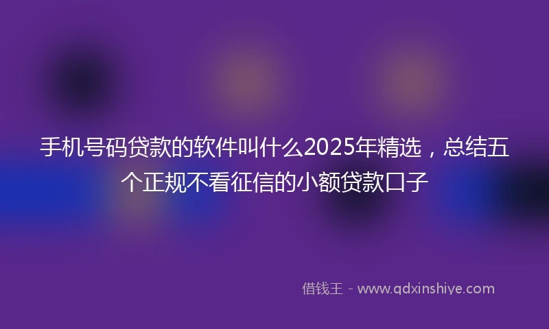 手机号码贷款的软件叫什么2025年精选，总结五个正规不看征信的小额贷款口子