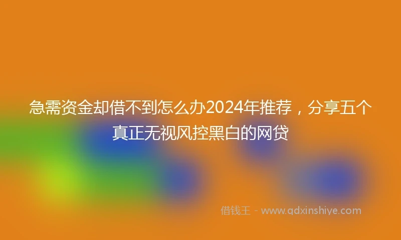 急需资金却借不到怎么办2024年推荐，分享五个真正无视风控黑白的网贷