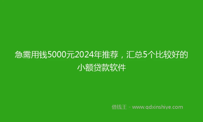 急需用钱5000元2024年推荐，汇总5个比较好的小额贷款软件