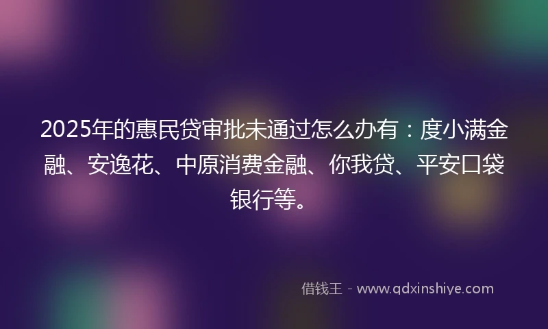 2025年的惠民贷审批未通过怎么办有：度小满金融、安逸花、中原消费金融、你我贷、平安口袋银行等。