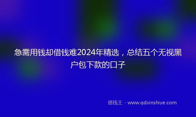 急需用钱却借钱难2024年精选，总结五个无视黑户包下款的口子