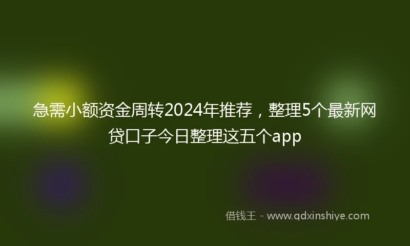 急需小额资金周转2024年推荐，整理5个最新网贷口子今日整理这五个app