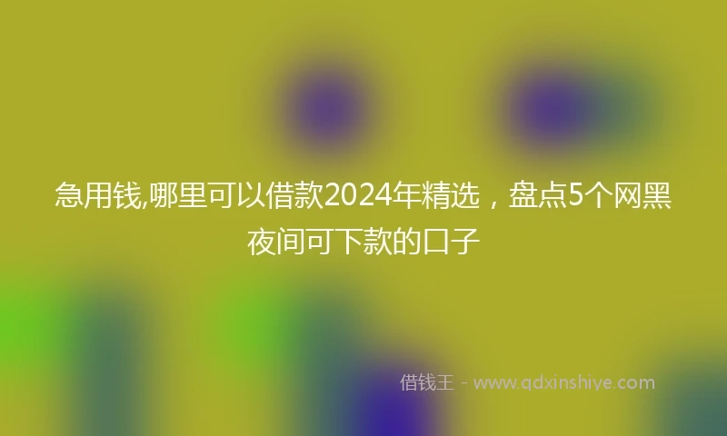 急用钱,哪里可以借款2024年精选，盘点5个网黑夜间可下款的口子