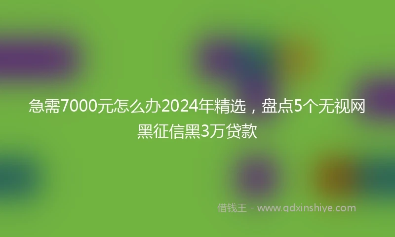 急需7000元怎么办2024年精选，盘点5个无视网黑征信黑3万贷款