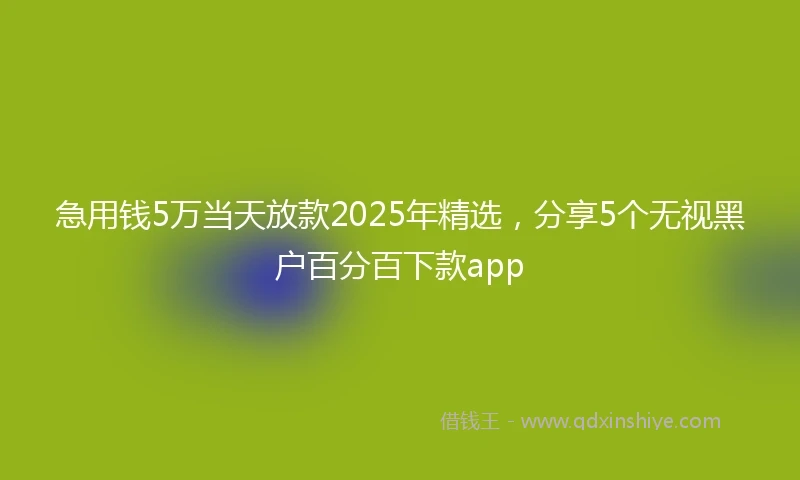 急用钱5万当天放款2025年精选，分享5个无视黑户百分百下款app