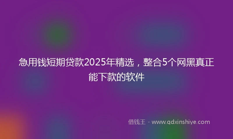 急用钱短期贷款2025年精选，整合5个网黑真正能下款的软件