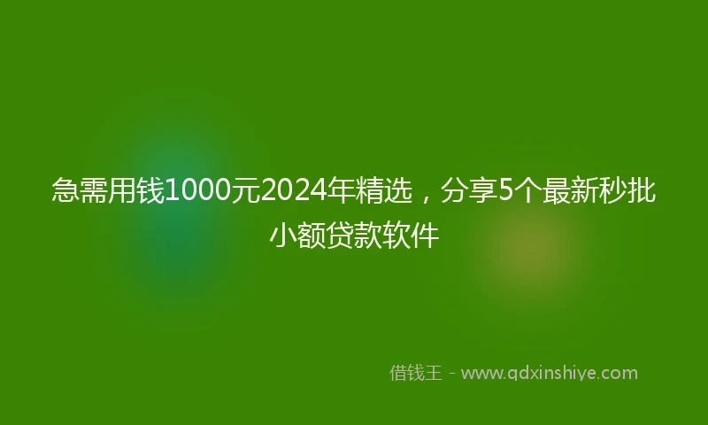 急需用钱1000元2024年精选，分享5个最新秒批小额贷款软件