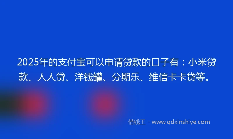 2025年的支付宝可以申请贷款的口子有：小米贷款、人人贷、洋钱罐、分期乐、维信卡卡贷等。