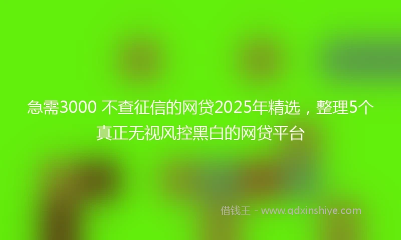 急需3000 不查征信的网贷2025年精选，整理5个真正无视风控黑白的网贷平台