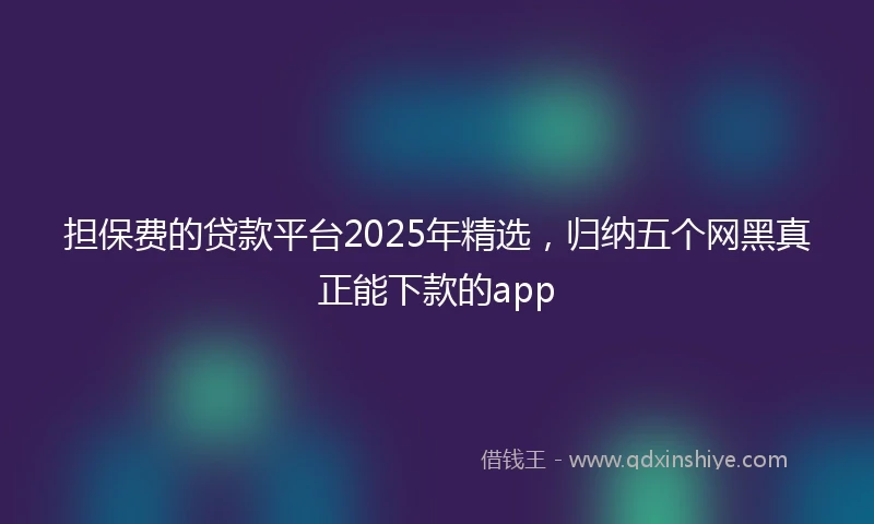 担保费的贷款平台2025年精选，归纳五个网黑真正能下款的app