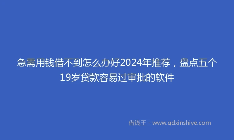 急需用钱借不到怎么办好2024年推荐，盘点五个19岁贷款容易过审批的软件
