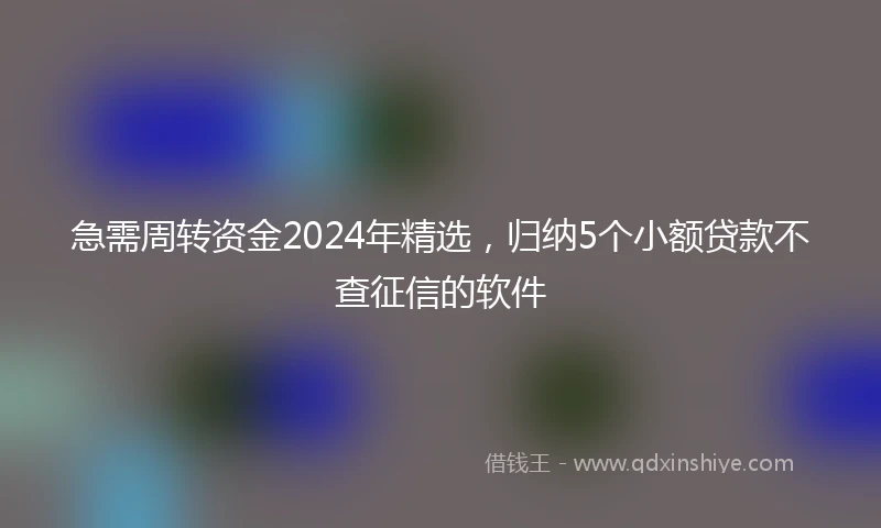 急需周转资金2024年精选，归纳5个小额贷款不查征信的软件