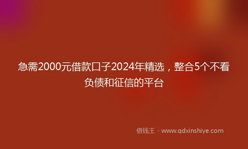 急需2000元借款口子2024年精选,整合5个不看负债和征信的平台