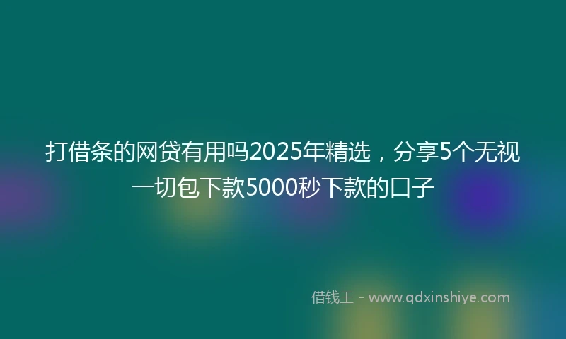 打借条的网贷有用吗2025年精选，分享5个无视一切包下款5000秒下款的口子