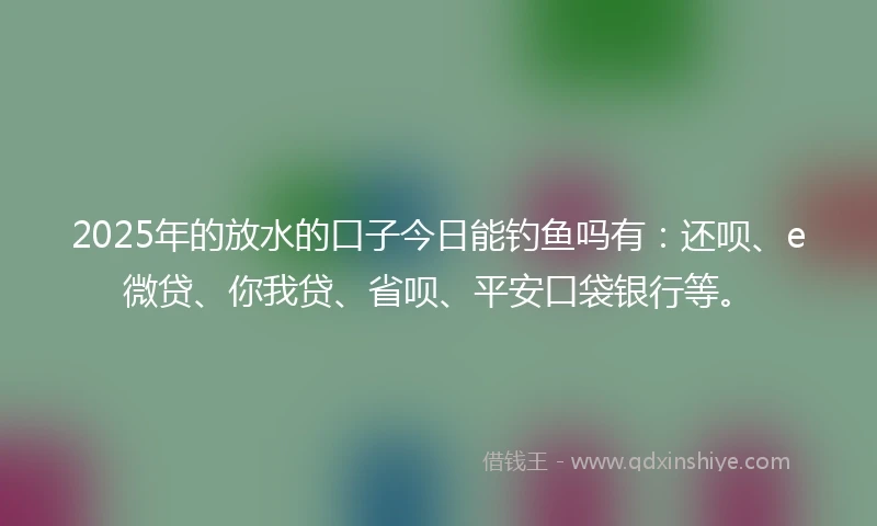 2025年的放水的口子今日能钓鱼吗有：还呗、e微贷、你我贷、省呗、平安口袋银行等。