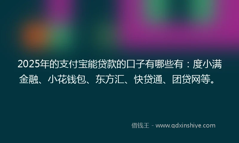 2025年的支付宝能贷款的口子有哪些有：度小满金融、小花钱包、东方汇、快贷通、团贷网等。