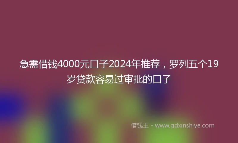 急需借钱4000元口子2024年推荐，罗列五个19岁贷款容易过审批的口子