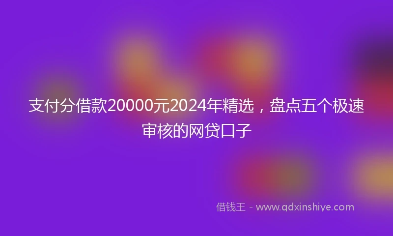 支付分借款20000元2024年精选，盘点五个极速审核的网贷口子