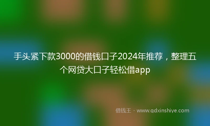 手头紧下款3000的借钱口子2024年推荐，整理五个网贷大口子轻松借app