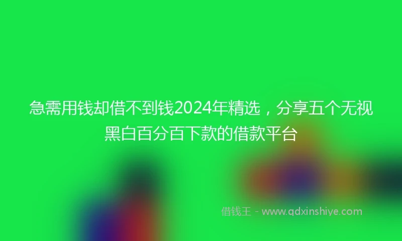 急需用钱却借不到钱2024年精选，分享五个无视黑白百分百下款的借款平台