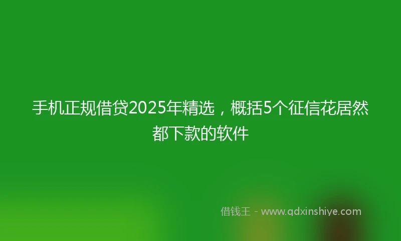 手机正规借贷2025年精选，概括5个征信花居然都下款的软件