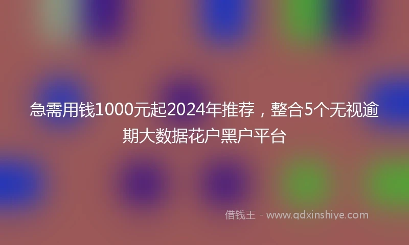 急需用钱1000元起2024年推荐，整合5个无视逾期大数据花户黑户平台
