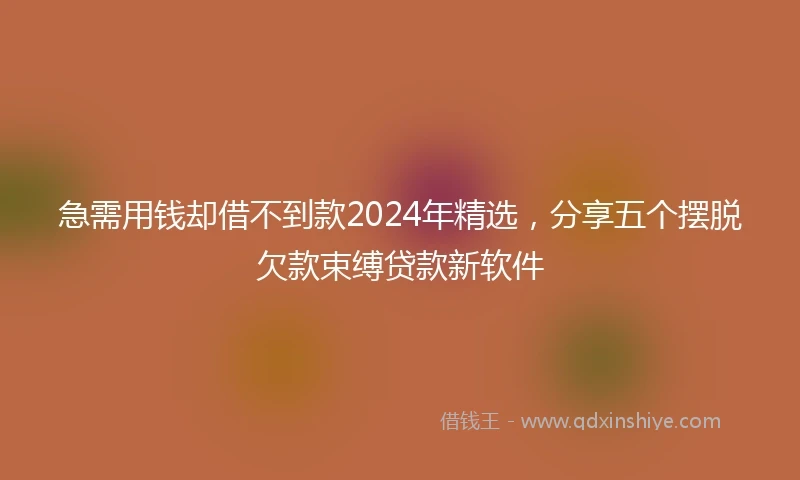 急需用钱却借不到款2024年精选，分享五个摆脱欠款束缚贷款新软件
