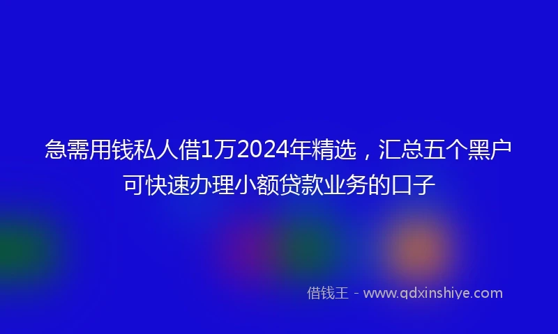 急需用钱私人借1万2024年精选，汇总五个黑户可快速办理小额贷款业务的口子