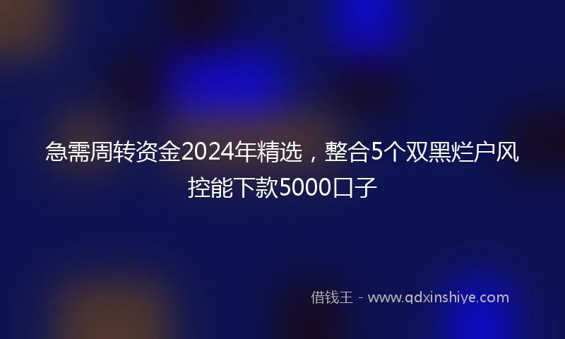 急需周转资金2024年精选，整合5个双黑烂户风控能下款5000口子