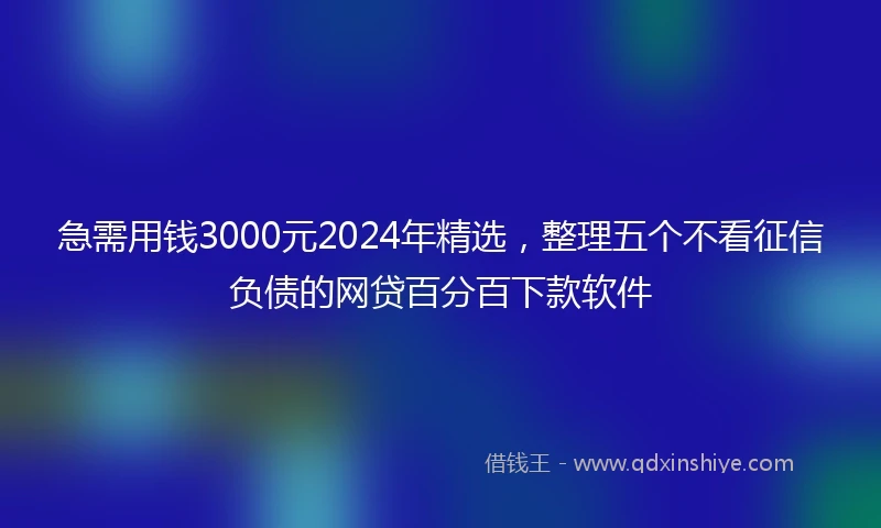 急需用钱3000元2024年精选，整理五个不看征信负债的网贷百分百下款软件