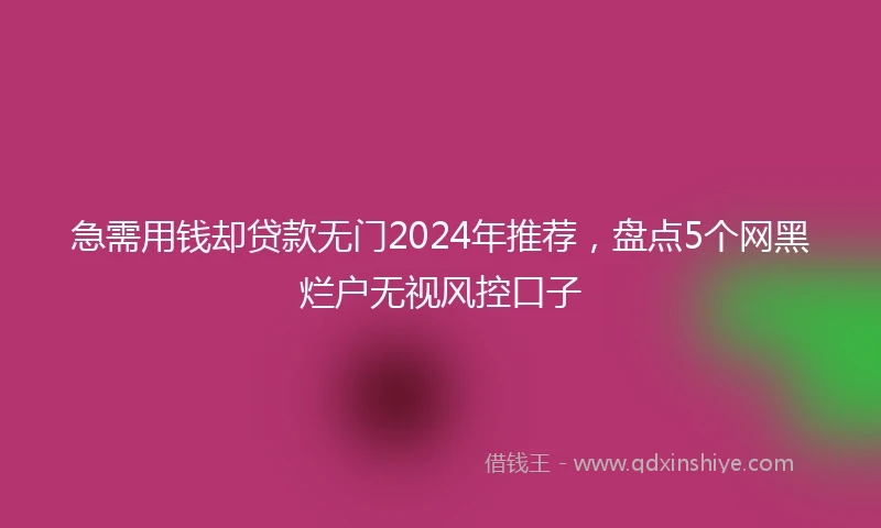 急需用钱却贷款无门2024年推荐，盘点5个网黑烂户无视风控口子