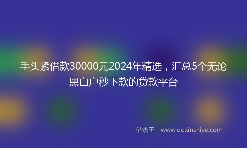 手头紧借款30000元2024年精选，汇总5个无论黑白户秒下款的贷款平台
