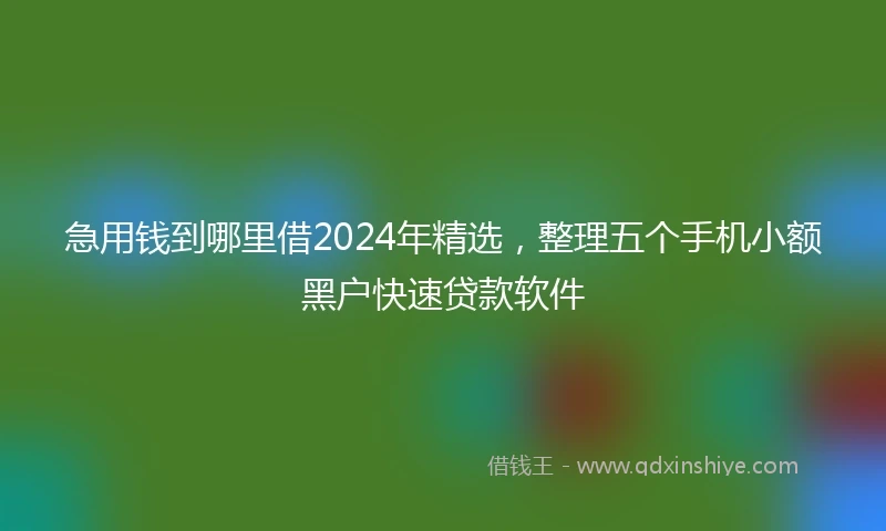 急用钱到哪里借2024年精选，整理五个手机小额黑户快速贷款软件