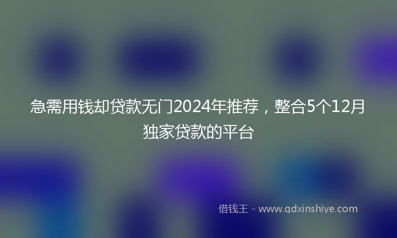 急需用钱却贷款无门2024年推荐，整合5个12月独家贷款的平台