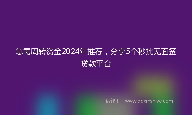 急需周转资金2024年推荐，分享5个秒批无面签贷款平台