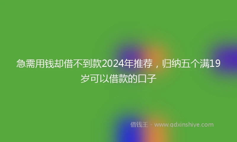 急需用钱却借不到款2024年推荐，归纳五个满19岁可以借款的口子