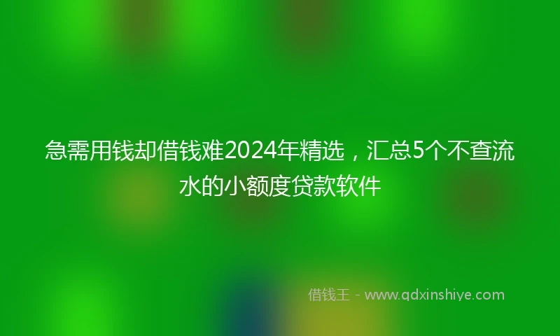 急需用钱却借钱难2024年精选，汇总5个不查流水的小额度贷款软件