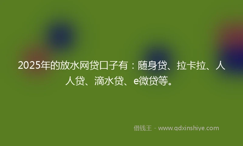 2025年的放水网贷口子有：随身贷、拉卡拉、人人贷、滴水贷、e微贷等。
