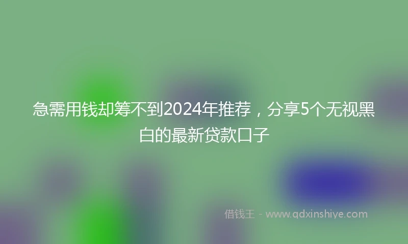 急需用钱却筹不到2024年推荐，分享5个无视黑白的最新贷款口子