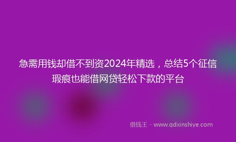 急需用钱却借不到资2024年精选，总结5个征信瑕疵也能借网贷轻松下款的平台
