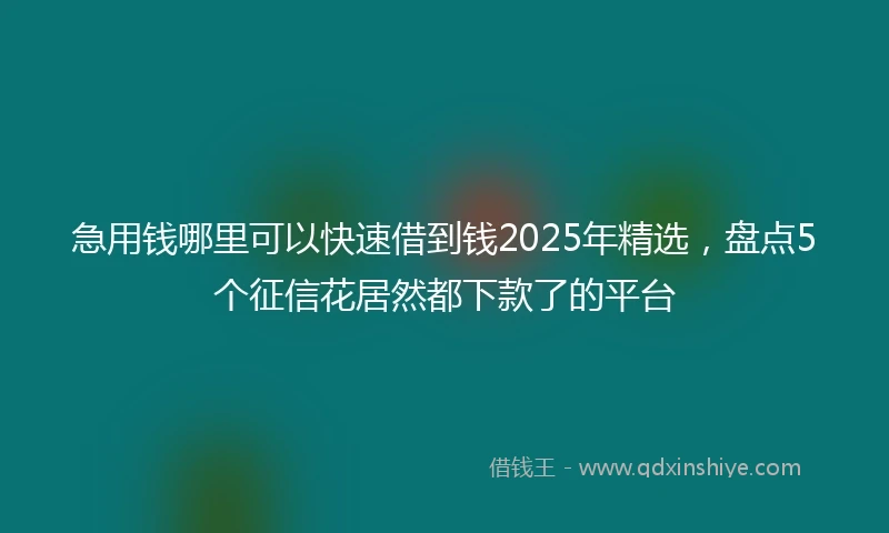 急用钱哪里可以快速借到钱2025年精选，盘点5个征信花居然都下款了的平台