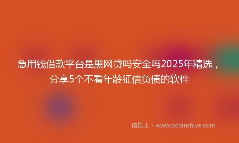 急用钱借款平台是黑网贷吗安全吗2025年精选，分享5个不看年龄征信负债的软件