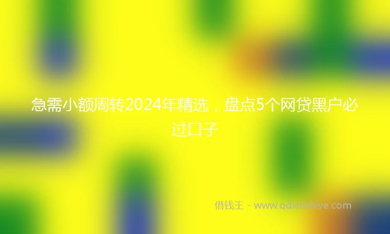 急需小额周转2024年精选，盘点5个网贷黑户必过口子
