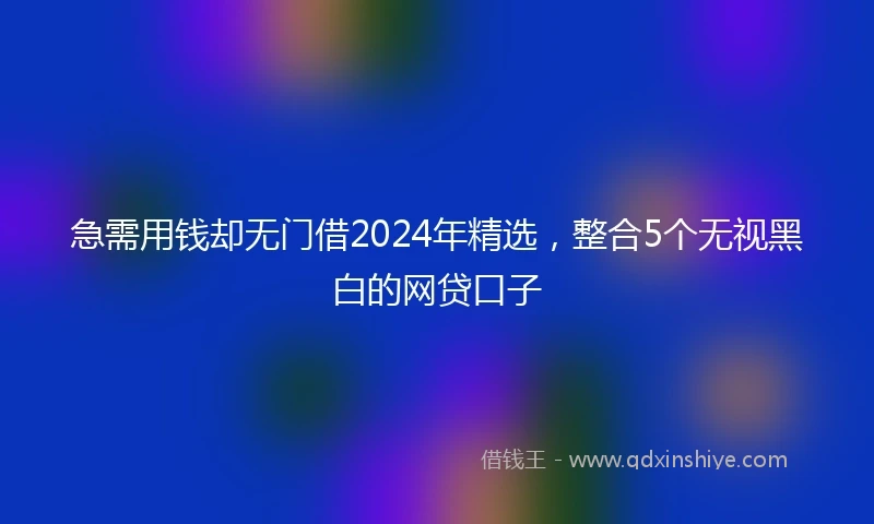 急需用钱却无门借2024年精选，整合5个无视黑白的网贷口子