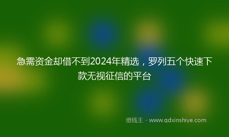 急需资金却借不到2024年精选，罗列五个快速下款无视征信的平台