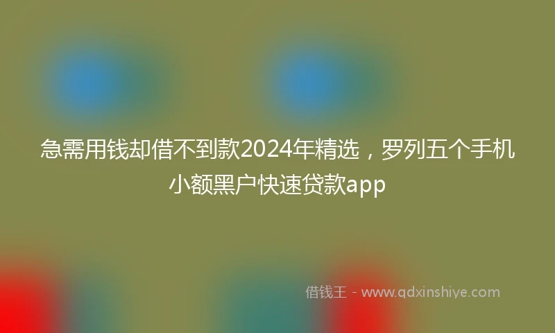 急需用钱却借不到款2024年精选，罗列五个手机小额黑户快速贷款app