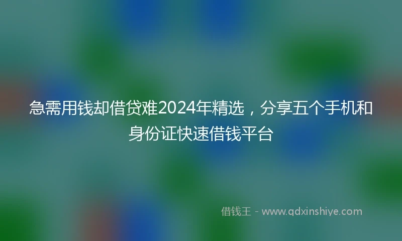 急需用钱却借贷难2024年精选，分享五个手机和身份证快速借钱平台