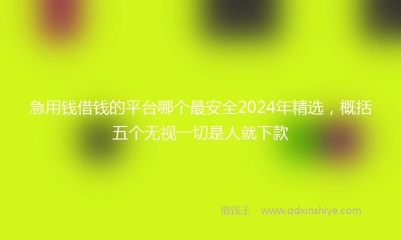 急用钱借钱的平台哪个最安全2024年精选，概括五个无视一切是人就下款